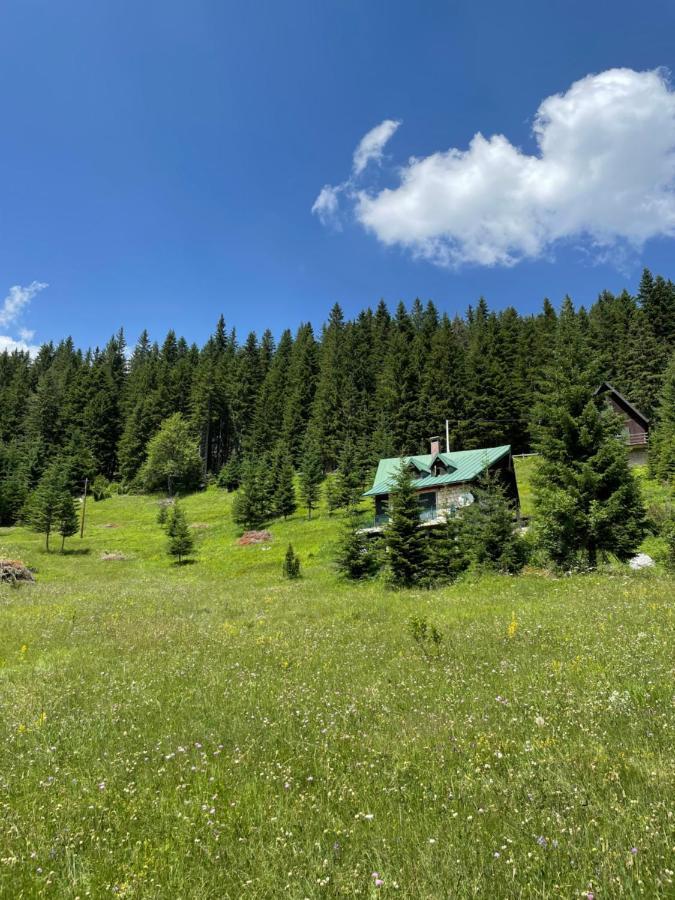 Magic Mountain Villa Žabljak Exterior foto