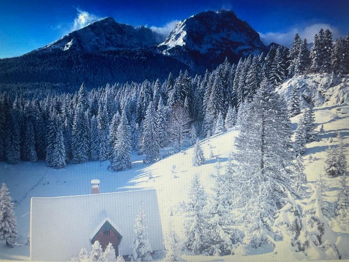 Magic Mountain Villa Žabljak Exterior foto