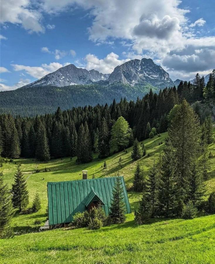 Magic Mountain Villa Žabljak Exterior foto